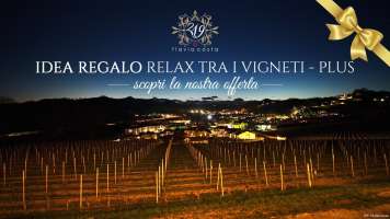 IDEA REGALO RELAX TRA I VIGNETI - PLUS